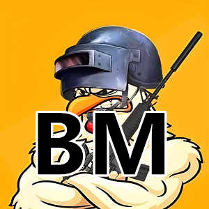 绝地求生BM-内部主播专用，需开启VT模式