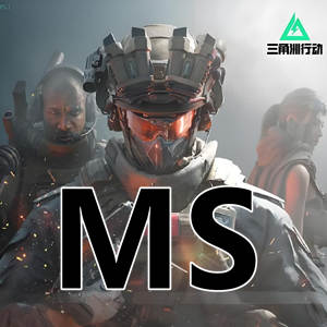 三角洲行动MS-顶尖漏打可独显