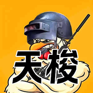 PUBG天梭辅助-单板透视加透视自瞄双版本