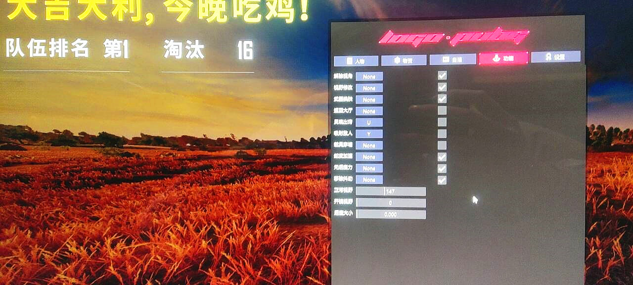 绝地求生K1辅助效果图