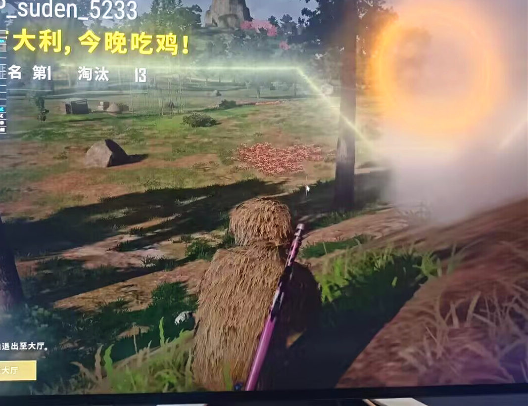 绝地求生RNG辅助效果图