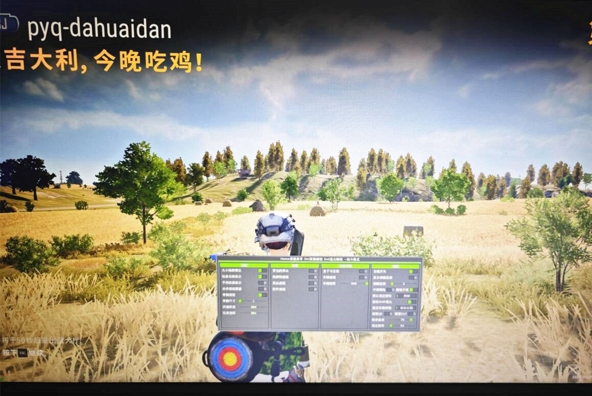 绝地求生辅助,PUBG空白,绝地海洋辅助效果图