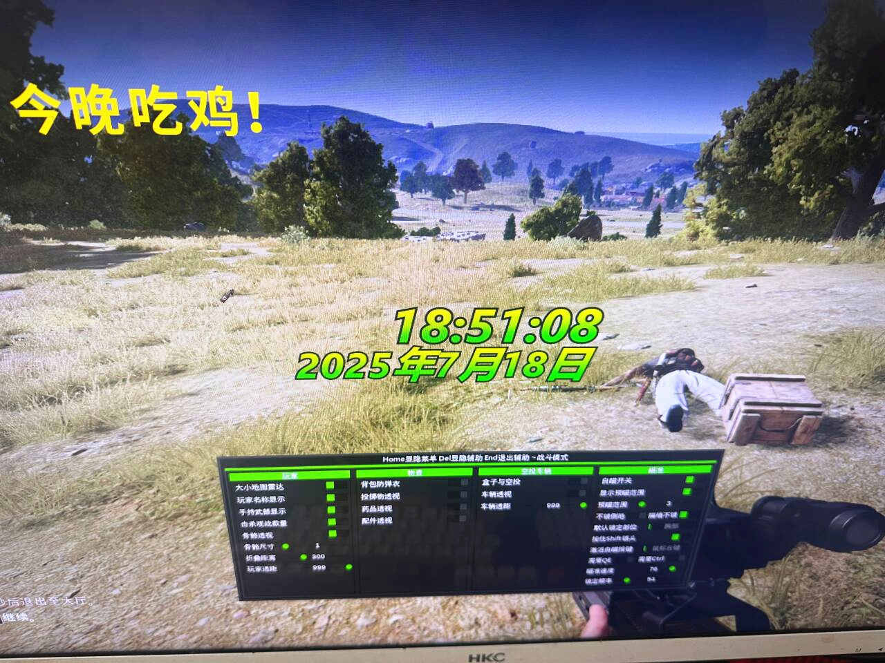 绝地求生辅助,pubg小姨子辅助效果图